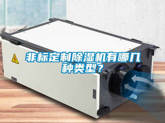 非標定制除濕機有哪幾種類型？