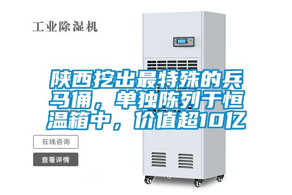 陜西挖出最特殊的兵馬俑，單獨陳列于恒溫箱中，價值超10億