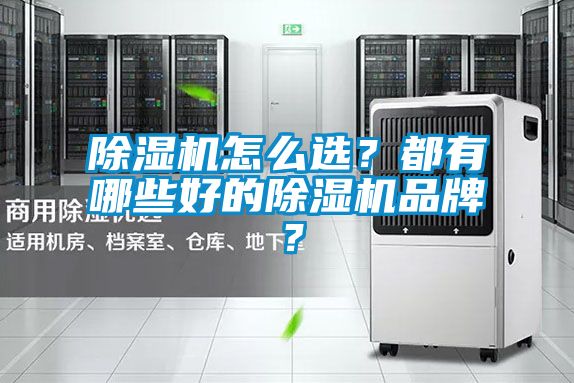 除濕機怎么選？都有哪些好的除濕機品牌？