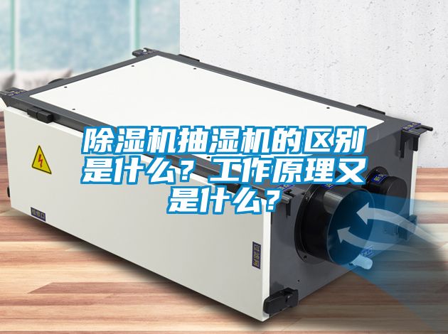除濕機抽濕機的區別是什么？工作原理又是什么？