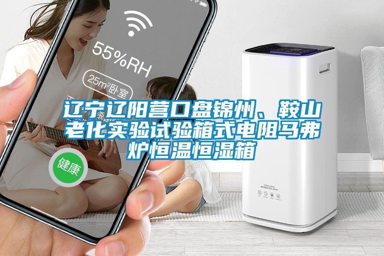遼寧遼陽營口盤錦州、鞍山老化實驗試驗箱式電阻馬弗爐恒溫恒濕箱