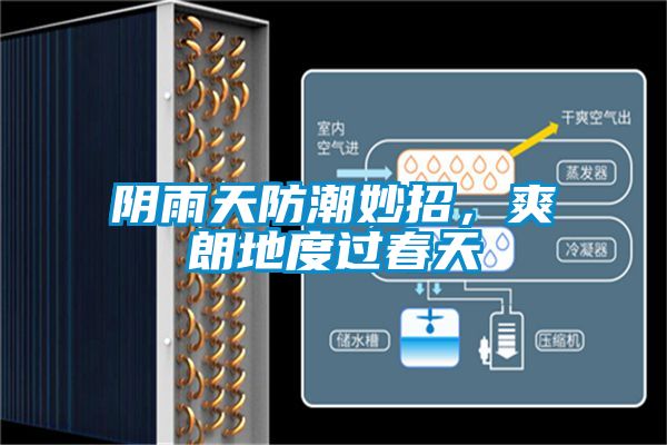 陰雨天防潮妙招，爽朗地度過春天