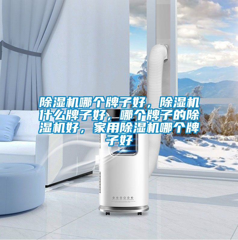 除濕機哪個牌子好，除濕機什么牌子好，哪個牌子的除濕機好，家用除濕機哪個牌子好
