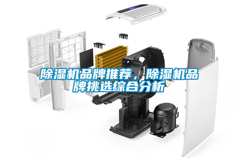 除濕機品牌推薦，除濕機品牌挑選綜合分析