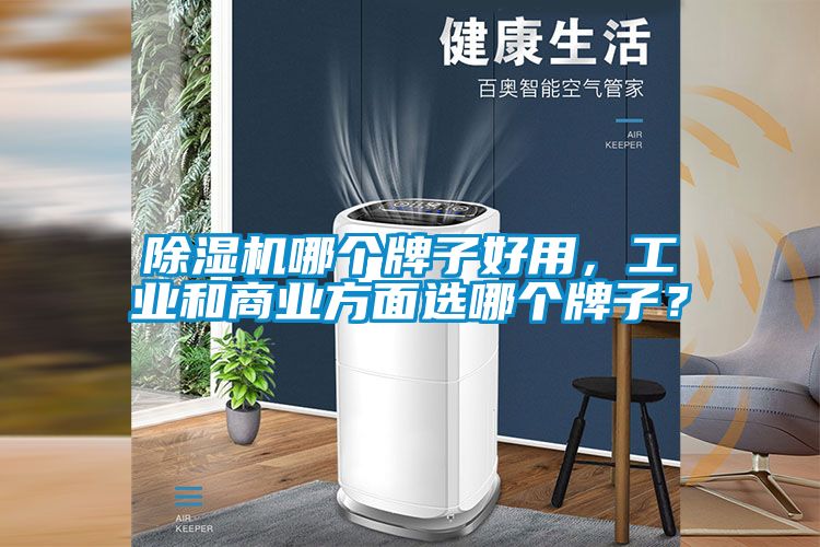 除濕機哪個牌子好用，工業和商業方面選哪個牌子？