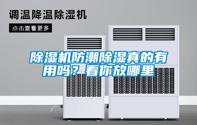 除濕機防潮除濕真的有用嗎？看你放哪里