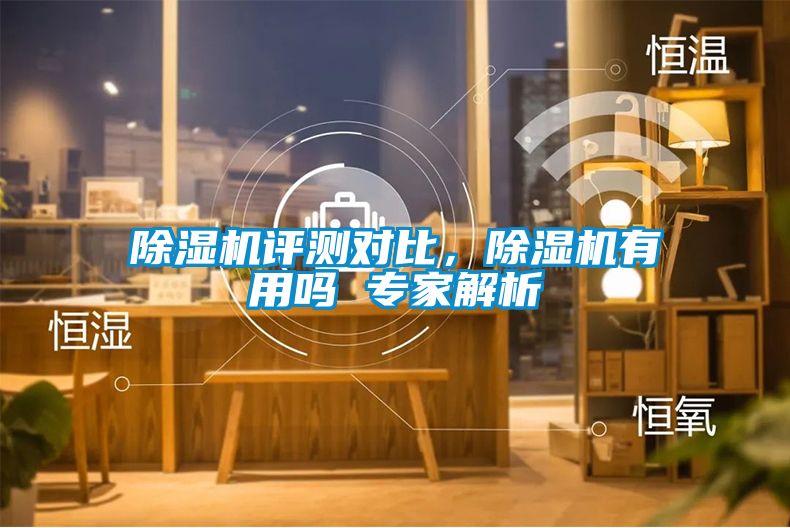 除濕機評測對比，除濕機有用嗎 專家解析