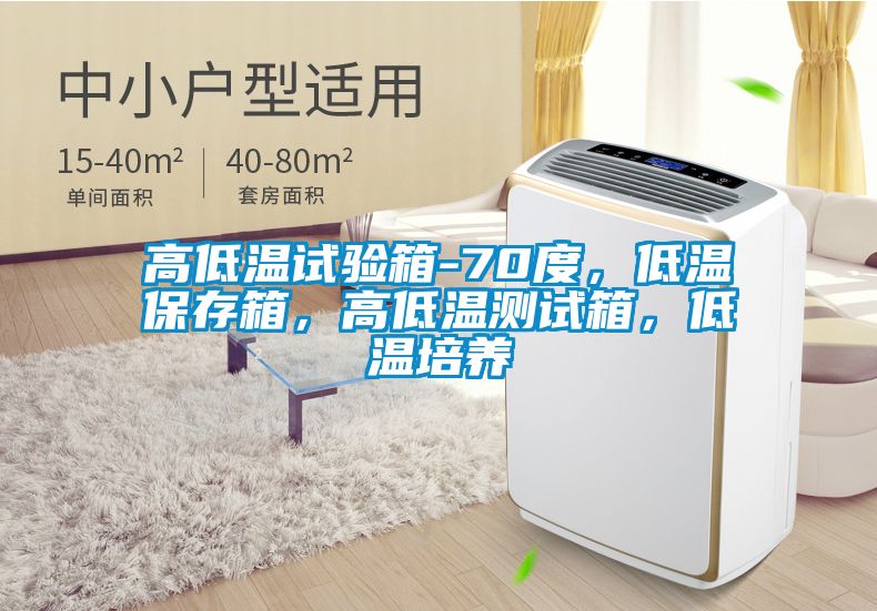 高低溫試驗箱-70度，低溫保存箱，高低溫測試箱，低溫培養
