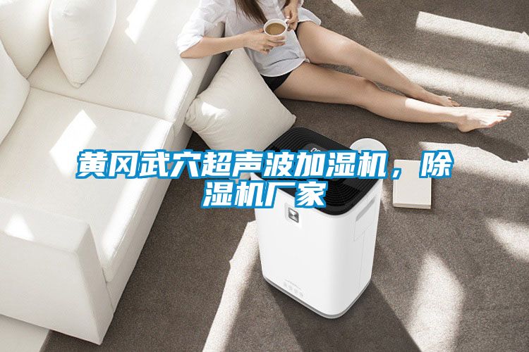 黃岡武穴超聲波加濕機，除濕機廠家