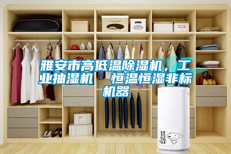 雅安市高低溫除濕機，工業抽濕機  恒溫恒濕非標機器