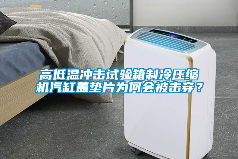 高低溫沖擊試驗箱制冷壓縮機汽缸蓋墊片為何會被擊穿？