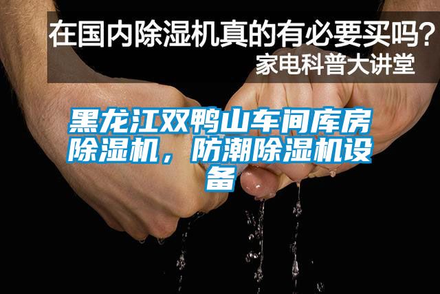黑龍江雙鴨山車間庫房除濕機，防潮除濕機設備