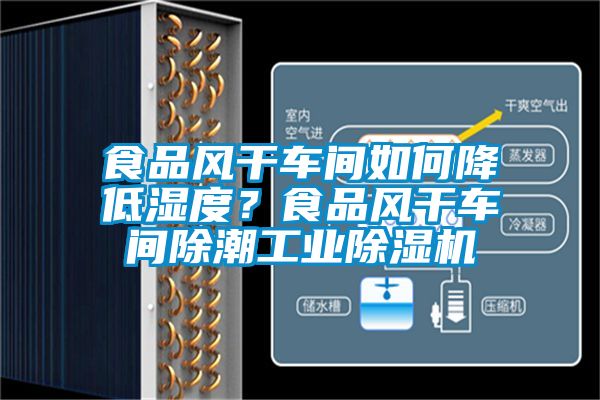 食品風干車間如何降低濕度？食品風干車間除潮工業除濕機