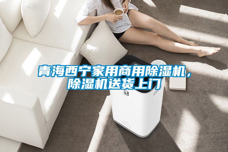 青海西寧家用商用除濕機，除濕機送貨上門