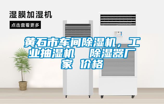黃石市車間除濕機，工業抽濕機  除濕器廠家 價格