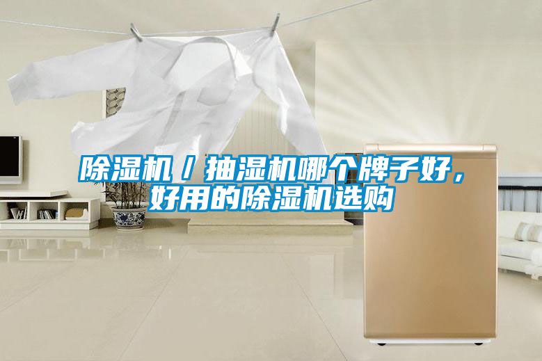 除濕機／抽濕機哪個牌子好，好用的除濕機選購