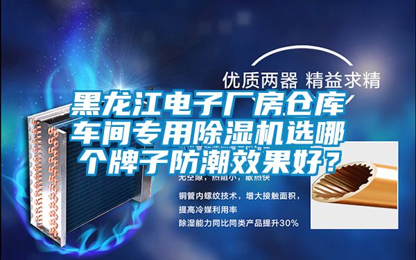 黑龍江電子廠房倉庫車間專用除濕機選哪個牌子防潮效果好？