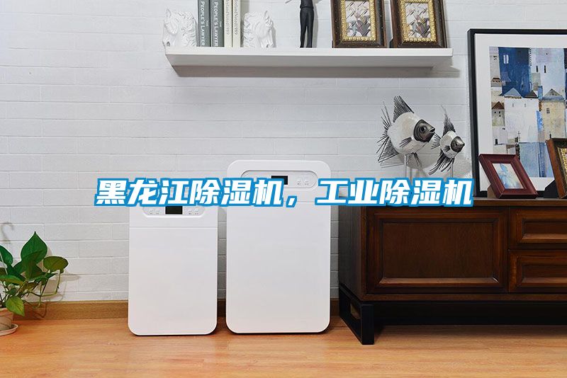 黑龍江除濕機，工業除濕機