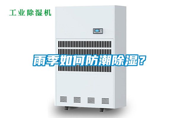 雨季如何防潮除濕？