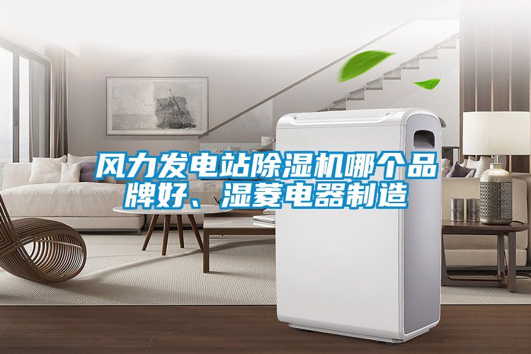 風力發電站除濕機哪個品牌好、濕菱電器制造
