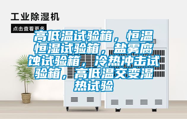 高低溫試驗箱，恒溫恒濕試驗箱，鹽霧腐蝕試驗箱，冷熱沖擊試驗箱，高低溫交變濕熱試驗