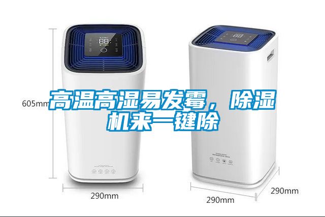 高溫高濕易發霉，除濕機來一鍵除