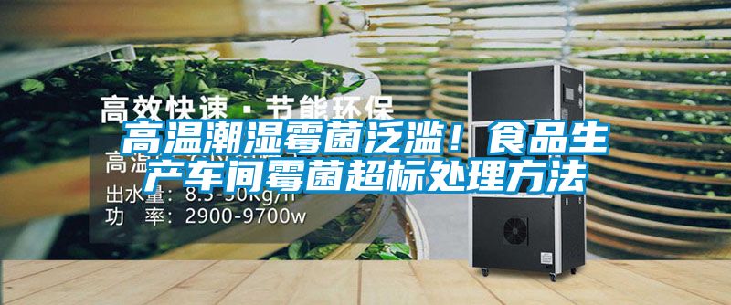 高溫潮濕霉菌泛濫！食品生產車間霉菌超標處理方法