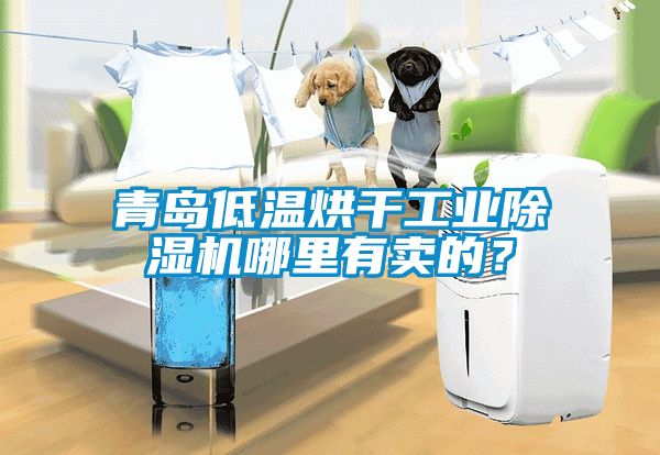 青島低溫烘干工業除濕機哪里有賣的？