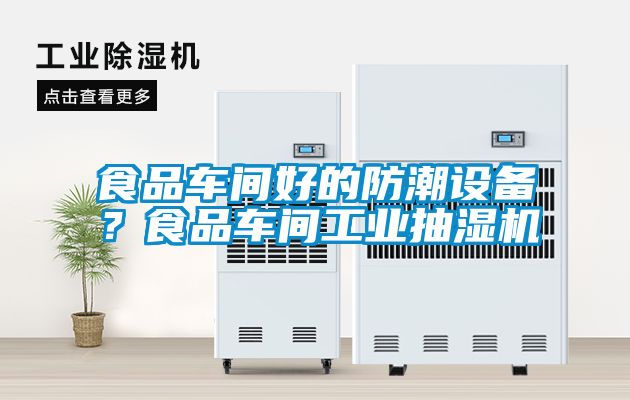 食品車間好的防潮設備？食品車間工業抽濕機