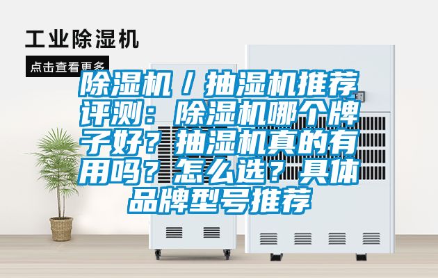 除濕機／抽濕機推薦評測：除濕機哪個牌子好？抽濕機真的有用嗎？怎么選？具體品牌型號推薦