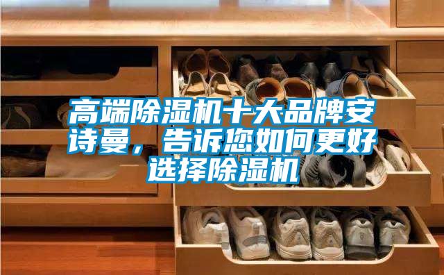 高端除濕機十大品牌安詩曼，告訴您如何更好選擇除濕機