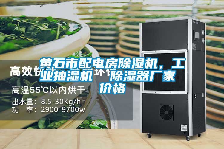 黃石市配電房除濕機，工業抽濕機  除濕器廠家 價格