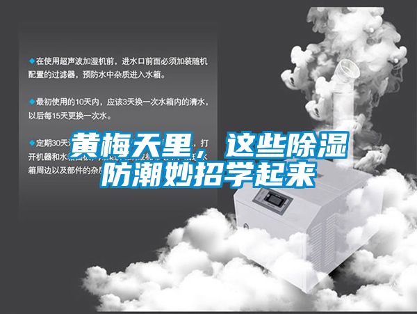 黃梅天里，這些除濕防潮妙招學起來