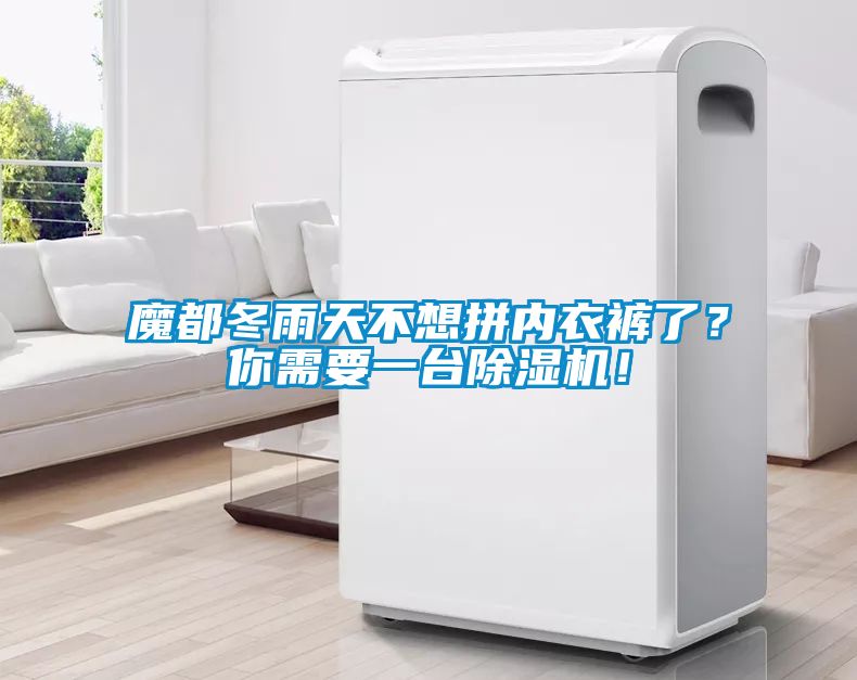 魔都冬雨天不想拼內衣褲了？你需要一臺除濕機！
