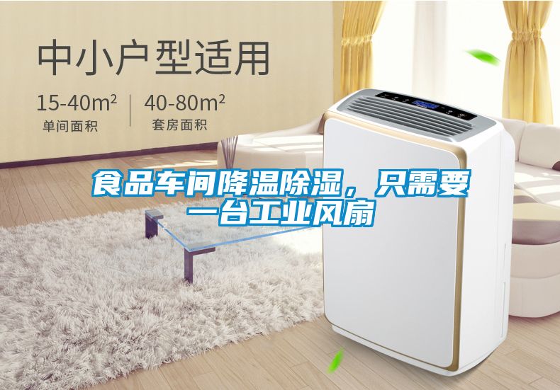 食品車間降溫除濕，只需要一臺工業風扇
