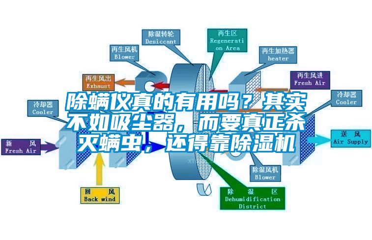 除螨儀真的有用嗎？其實不如吸塵器，而要真正殺滅螨蟲，還得靠除濕機