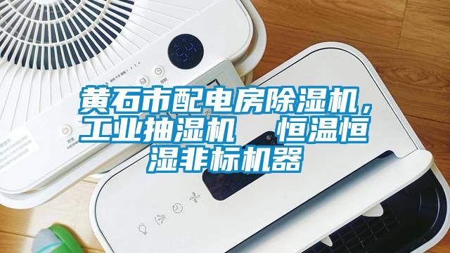 黃石市配電房除濕機，工業抽濕機  恒溫恒濕非標機器